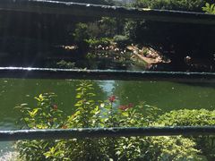 -九龙公园