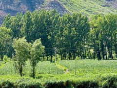 -野三坡清泉山风景区