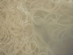 -东园小馆·早茶·淮扬小炒(三盛广场店)