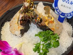 -东海怡品海鲜豆捞(舟宿夜江店)