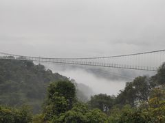 -南丹山森林王国