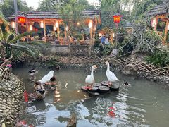 -青城甲(青城山店)