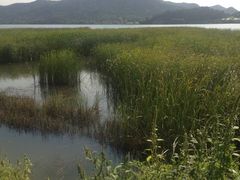 景点-十三陵水库