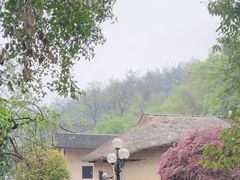 -韶山毛泽东同志故居