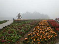 -广州市石门国家森林公园