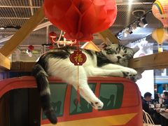 -小时光咖啡馆(开森度假森林店)