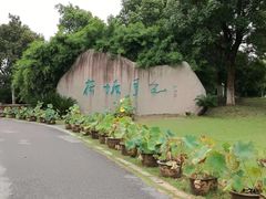 景点-荷塘月色湿地公园·向阳花洲