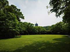 -浙江西子宾馆·瑶园咖啡厅