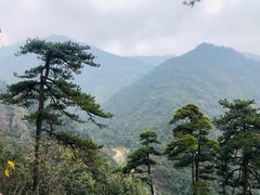 -东天目山风景区