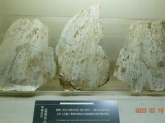 -上海邮政博物馆