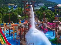 -重庆海昌加勒比海水世界