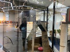 -弓舍射箭俱乐部(高新总店)