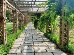 -北京张裕爱斐堡酒庄