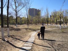 -滨河世纪广场公园
