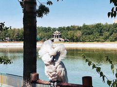 -水上乐园·欢乐世界