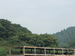 -芦仙山景区-飞越丛林探险乐园