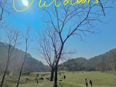 -华蓥山天意谷景区