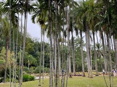 -中国科学院西双版纳热带植物园