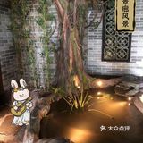 大良探店｜寻味顺德，顺德情怀还得看顺德渔村