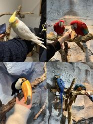 -Zoolung Zoolung动物主题公园(海信广场店)