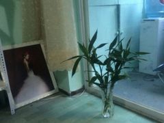 -景杰照相馆·人民公园店(绵阳店)