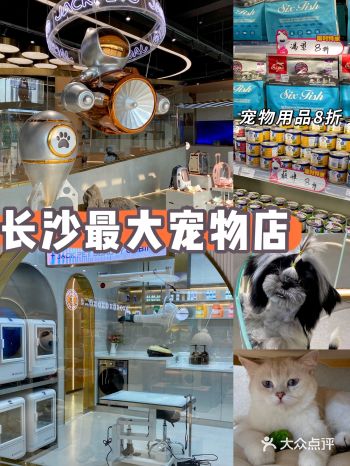 长沙三层独栋宠物店️超豪华0元任意玩