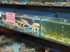 -濠景渔港(汇通店)