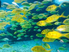 -泉城欧乐堡海洋极地世界