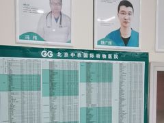 -中农国际动物医院24小时·猫科·骨科·急重症中心