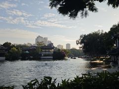 -荔湾湖公园