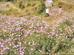 -楠溪江石桅岩