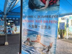 -尼莫海豚馆