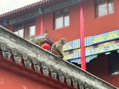 -黔灵山公园