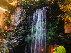 -白天鹅宾馆·流浮阁咖啡厅