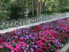 -黑龙江省森林植物园