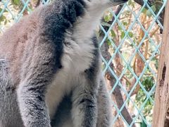 -水上乐园·欢乐世界