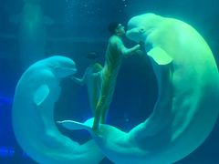 -上海海昌海洋公园-冰山北极馆
