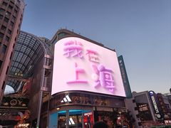 -新雅粤菜馆(南京东路店)