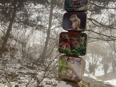 -秦岭终南山世界地质公园翠华山景区