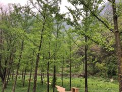 -秦岭终南山世界地质公园翠华山景区