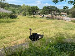 -沈阳森林动物园