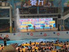 -天山海世界