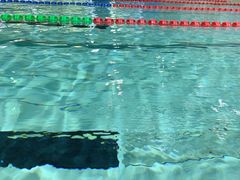 -奥林匹克体育中心游泳馆