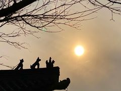 -杭州半山国家森林公园