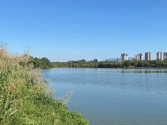 -飞来湖湿地公园