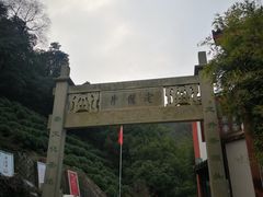 -龙井村