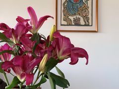 -翠田Green Field Kitchen