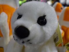 -悉尼海洋生物水族馆