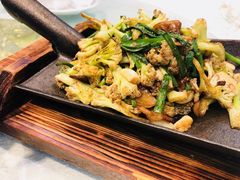 -邵年鸽(杨庄店)