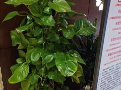 -永青泉汗蒸广场(大运河博物馆店)